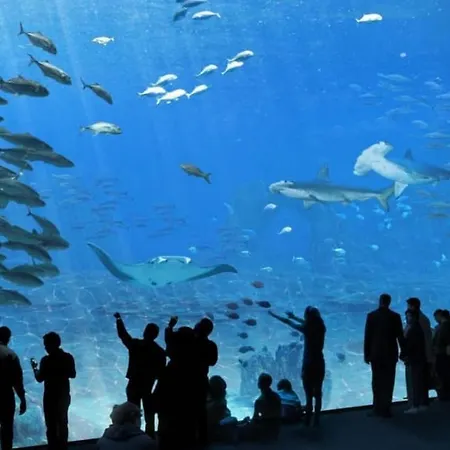 Cosy Centre De Proche Apartman